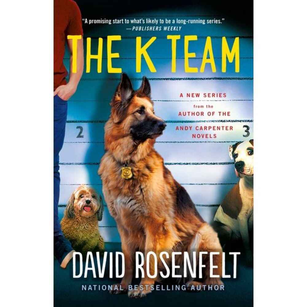 The K Team -- David Rosenfelt
